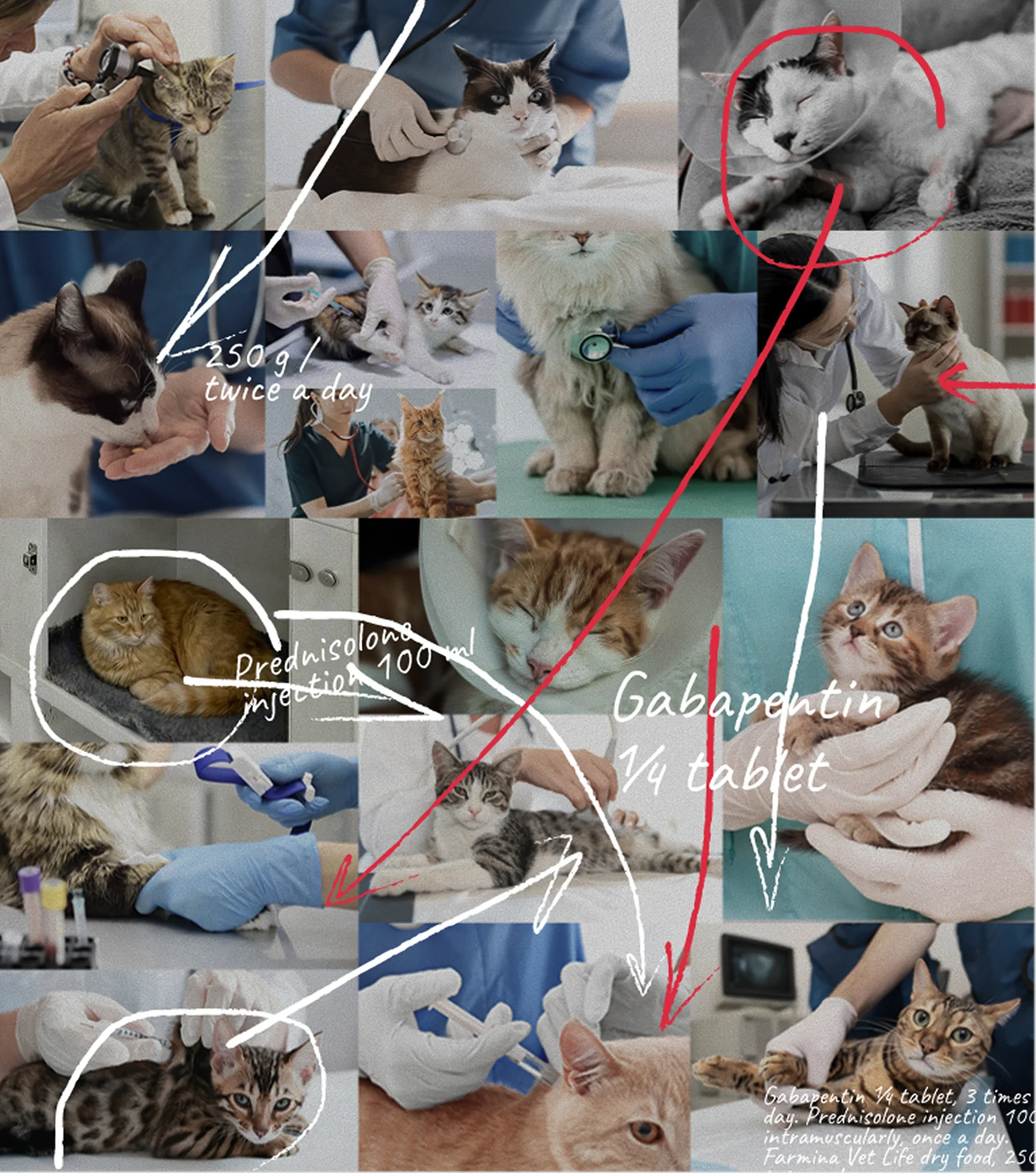 Collage of inpatient workflow references